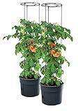 PAFEN 2X Tomatenpflanze Pflanzkübel - 295 x 1152 mm - Tomato Grower Pflanzen Tomate Garten Terrasse