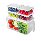Kühlschrank Organizer Gemüse,Frischhaltedosen mit Deckel,Kühlschrank Aufbewahrung Obst für...