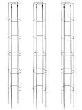 bellissa Legierter Stahl, 90400 – Tomatenturm – Rankhilfe für Tomaten und Gurken –...