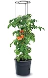 KOTARBAU® Tomatenturm 110 cm Tomatentopf Rankhilfe für Tomaten Gurken Gemüsen Anpassbare...