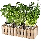 Chefarone Kräutertopf Küche Set Fensterbank - Kräutergarten Indoor praktisches 3er Set -...