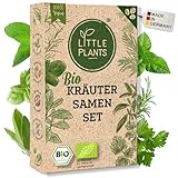 Little Plants Kräutersamen Set - 12 Sorten BIO Kräuter Anzuchtset - Küchenkräuter &...