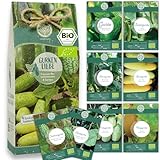 Bio Gurken Samen Set – 8 Sorten samenfeste, Freiland geeignete Bio Gurkensamen – mit extra viel...