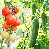 KINGLAKE Ranknetz Pflanzennetz Rankhilfen Gartennetz für Kletterpflanzen Gurken Erbsen Tomaten...