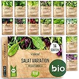BIO Salat Samen Set - 14 Sorten Salatsamen aus biologischem Anbau I samenfestes Salat Saatgut I Bio...